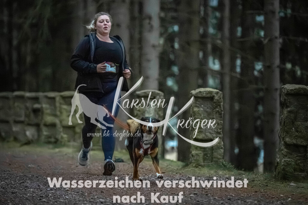 0833_ZZ91992 | kk-dogfotos