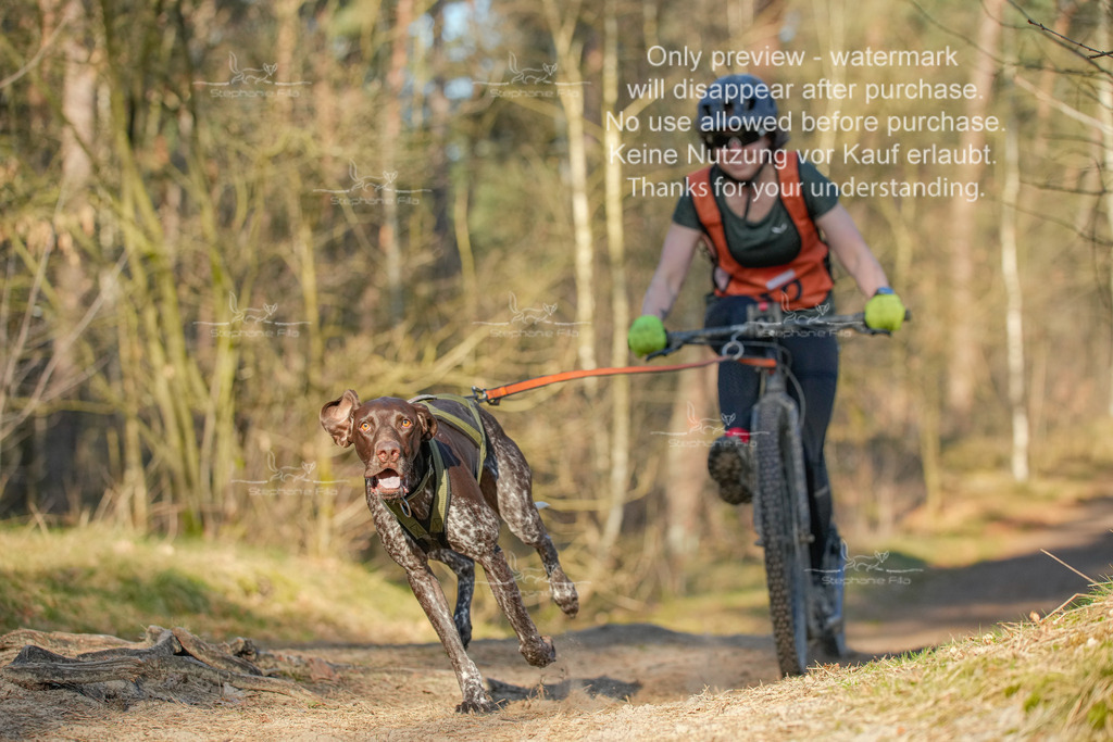 Sa_Scooter-147 | stephaniefillaphotographie - Realisiert mit Pictrs.com