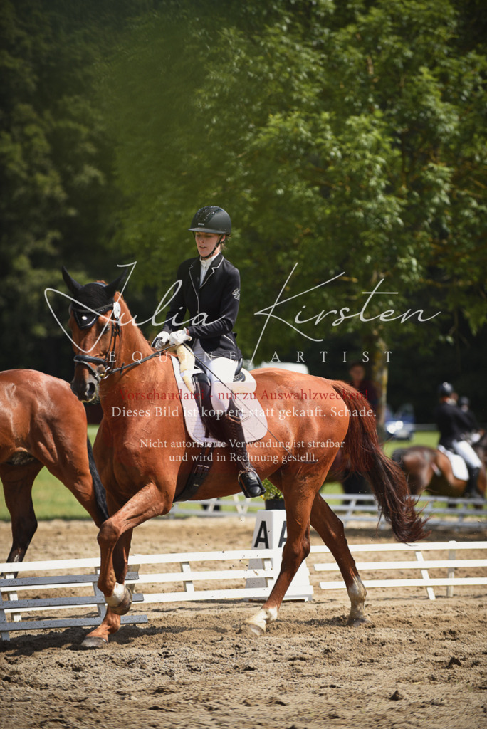 DSC_0736 | Pferde- und Turnierfotografie in Westsachsen. Pferdeportraits, Auftragszeichnungen und intuitive Kunst.