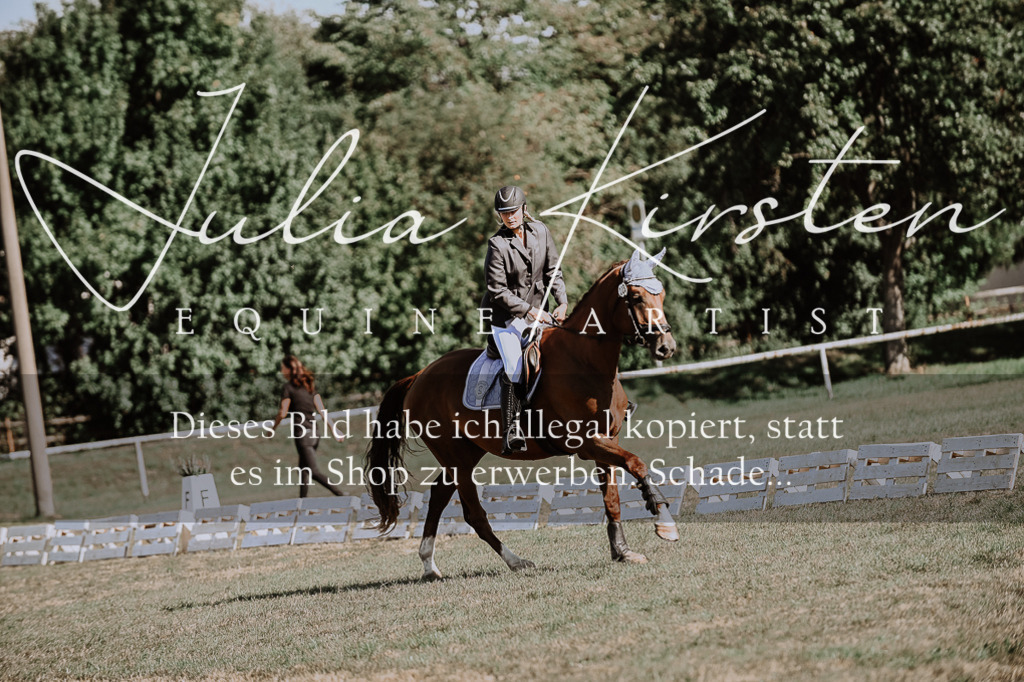 DSC_9276 | Pferde- und Turnierfotografie in Westsachsen. Pferdeportraits, Auftragszeichnungen und intuitive Kunst.