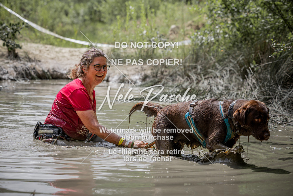 nelerasche_so1145-1230_251 | nelerasche