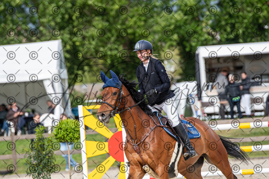 KPT_0207 | andre_photographic