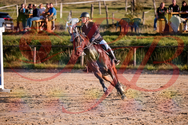2026_10_03_Siefer-Hof_171901_Z81_16998639 | Professionelle Reitsport-, Turnier- und Eventfotografie von Robert Broda. Galerien mit ausgewählten und bearbeiteten Bildern direkt online ansehen und bestellen.