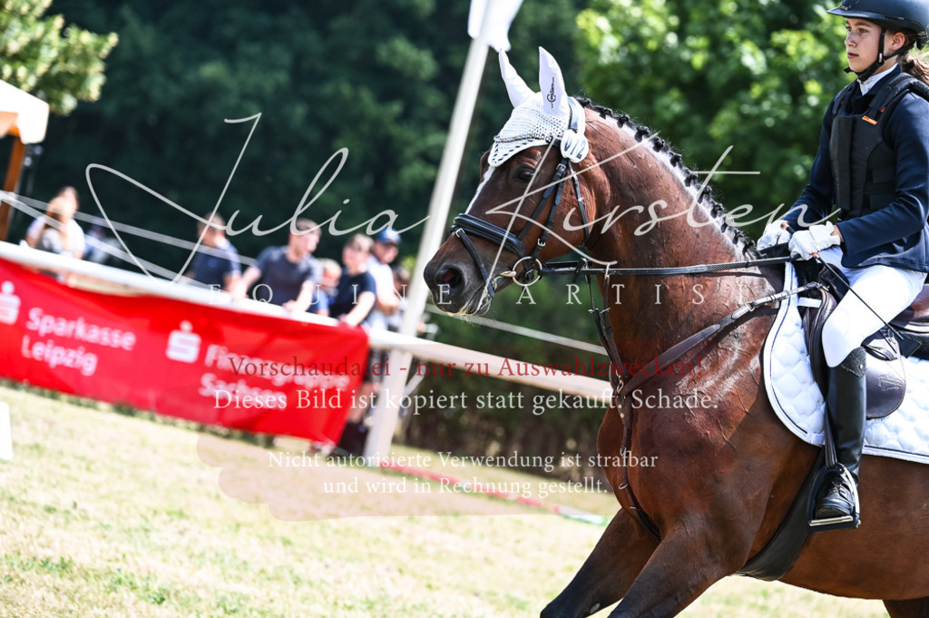 DSC_9596 | Pferde- und Turnierfotografie in Westsachsen. Pferdeportraits, Auftragszeichnungen und intuitive Kunst.