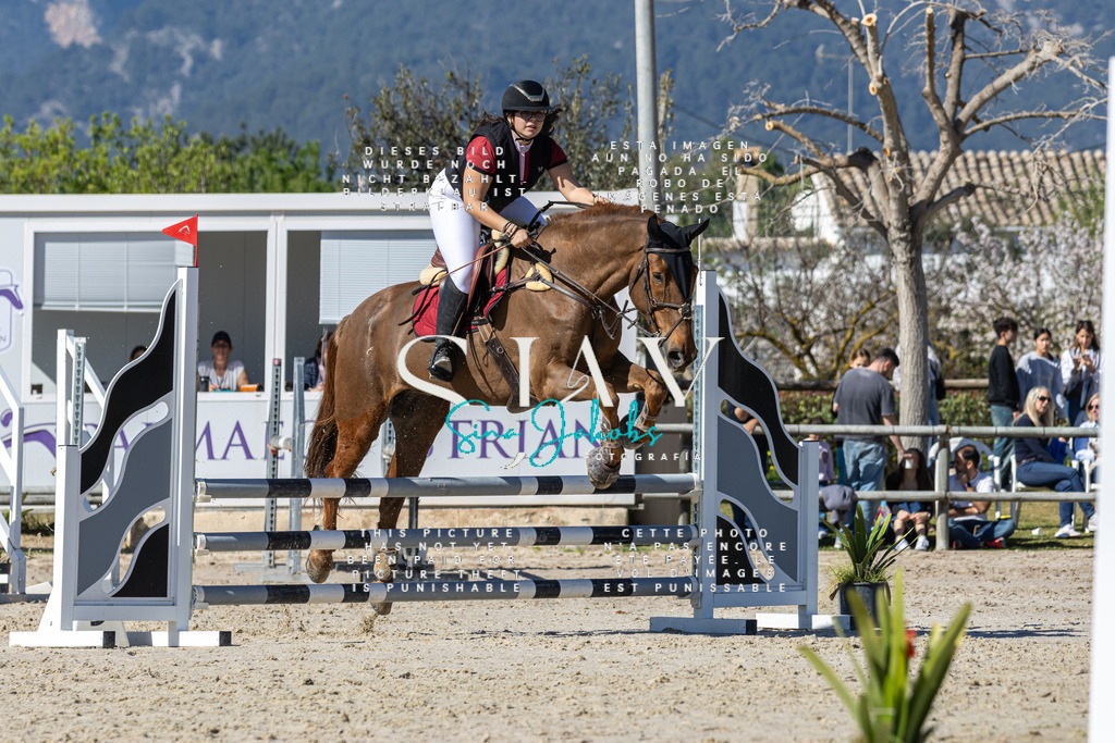 IMG_9251 | s-jay-photography - Realisiert mit Pictrs.com