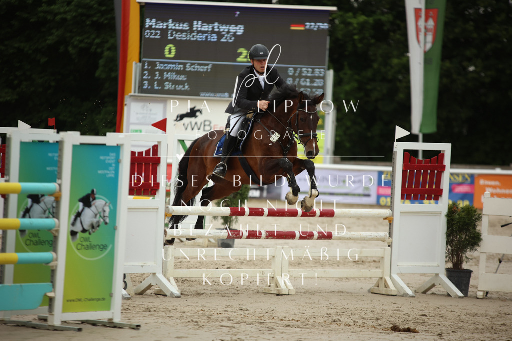 IMGM8736 | pl-fotografie