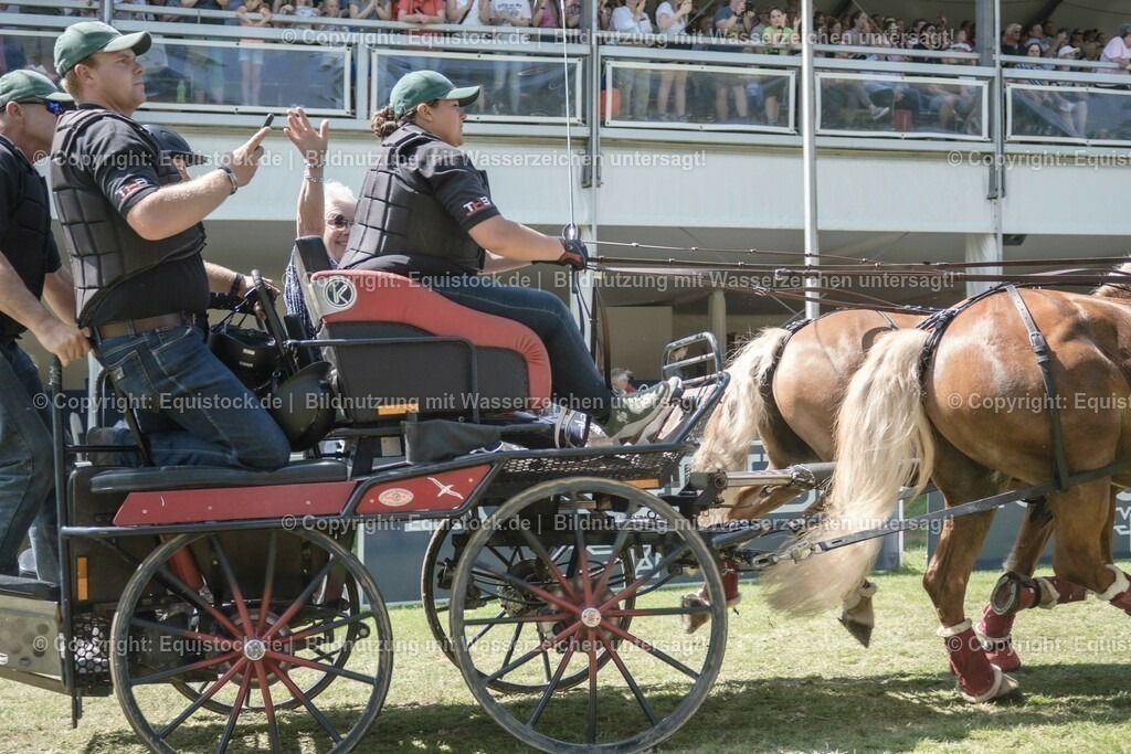 20230528_Jump-and-Drive_0267 | equistock