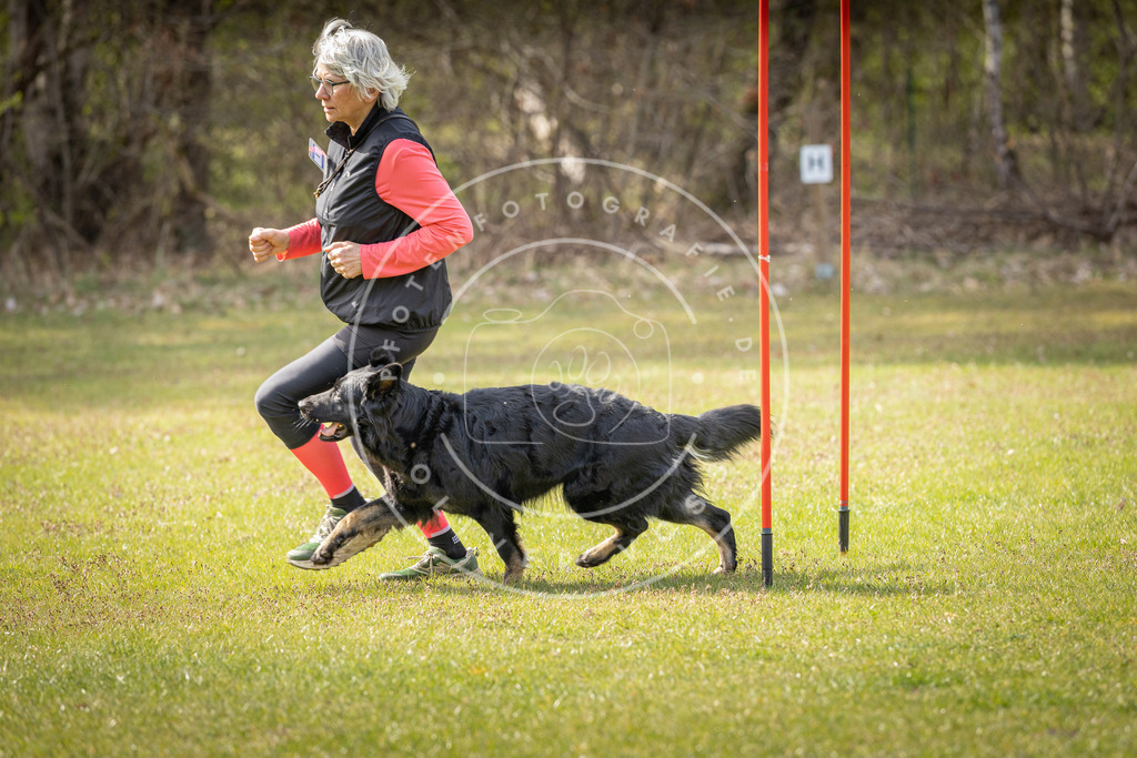Pfotenfotografie_DV3A9624 | Hundefotografie, Tierfotograf, Pfotenfotografie, Fotoshooting Hund, Hunde Portrait, Hundesport, Hundeportraits, Heideshooting, Hunde, Sportfotograf, Hundefotograf, Turnierhundsport, THS,  - Realisiert mit Pictrs.com