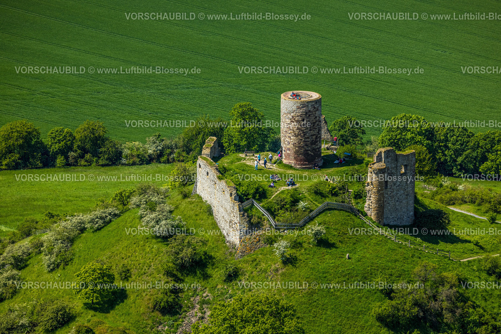 Warburg240505064BurgDesenberg | Luftbild, Burg Desenberg auf einem Vulkankegel, historische Sehenswürdigkeit, Ruine einer Höhenburg in der Warburger Börde, Besucher auf der Aussichtsplattform, Daseburg, Warburg, Ostwestfalen, Nordrhein-Westfalen, Deutschland
