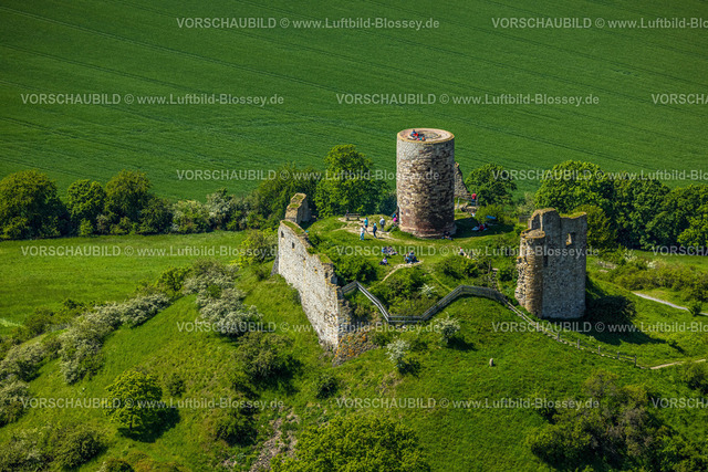 Warburg240505064BurgDesenberg | Luftbild, Burg Desenberg auf einem Vulkankegel, historische Sehenswürdigkeit, Ruine einer Höhenburg in der Warburger Börde, Besucher auf der Aussichtsplattform, Daseburg, Warburg, Ostwestfalen, Nordrhein-Westfalen, Deutschland