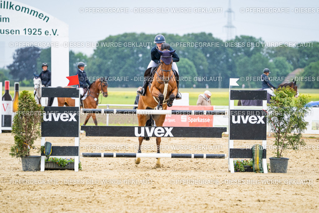 DSC07429 | Pferdegrafie