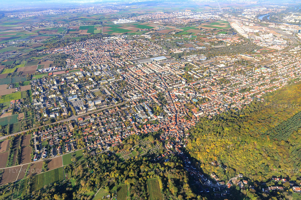 Luftbild: Ortsansicht von Osten im Ortsteil Rohrbach in Heidelberg im Bundesland Baden-Württemberg in Deutschland. Foto: IMG_104146.jpg vom 31.10.2017 durch Werner Riehm/FLY-FOTO.de