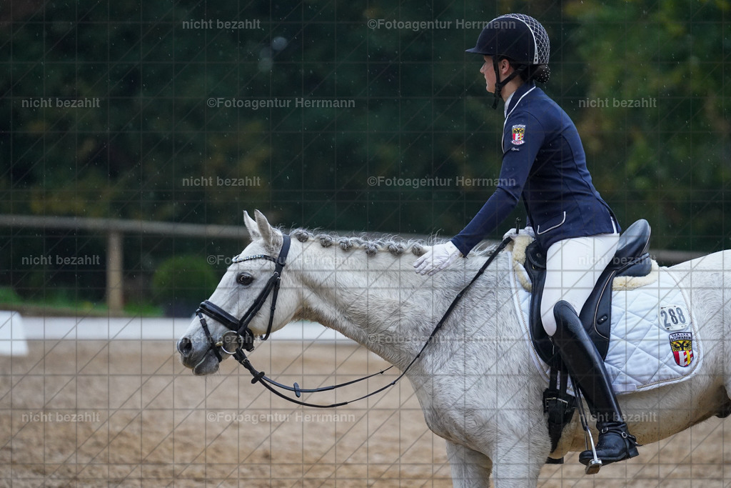 20221008-FAH02203 | Diessen am Ammersee, 2022, Dressur- und Springturnier, Reitsportbilder, Turnierfotografen Bayern, Pferdefotografen, Fotoagentur Herrmann, Turnierbilder