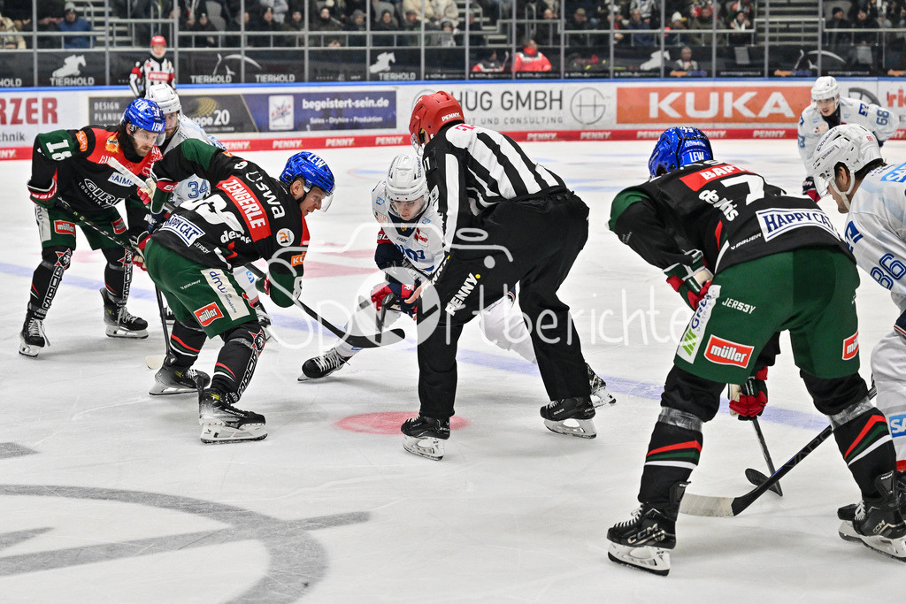 Augsburger Panther - Adler Mannheim | Bully vor der Bank / DEL: Augsburger Panther - Adler Mannheim, Curt Frenzel Stadion am 26.12.2024