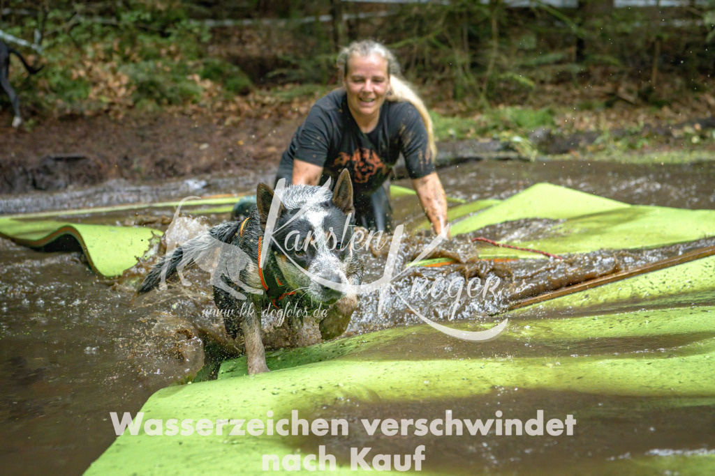 1531_ZZ91099-Bearbeitet | kk-dogfotos