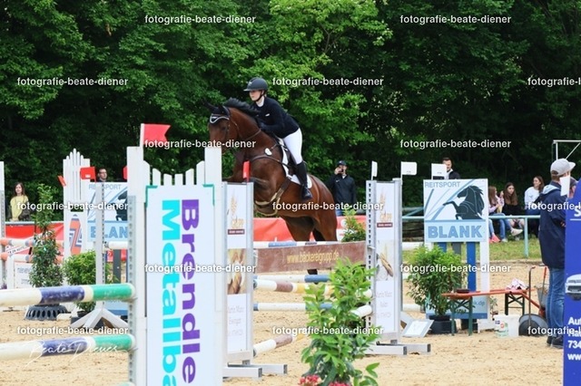 OHT2101 | Fotografie, Tiere, Hunde, Katzen, Pferde, Sportfotografie, Fotosession, Tierfotografie, Turnierfotografie, Fotografin, Fotograf - Realisiert mit Pictrs.com