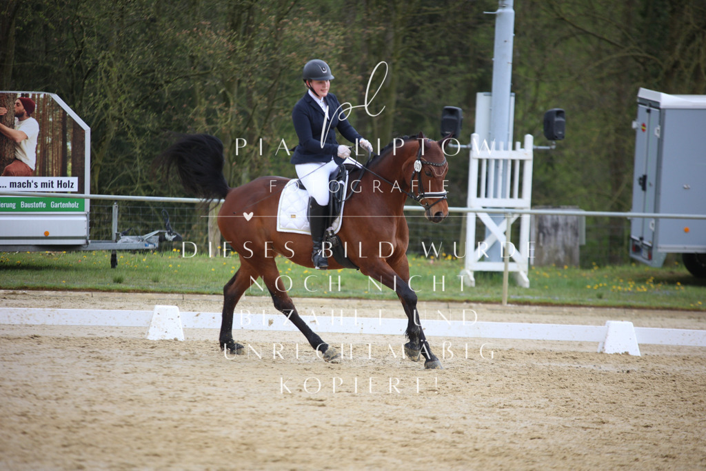 IMGT5286 | pl-fotografie