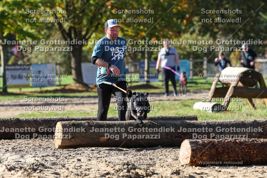 Dog Paparazzi - Strongdog 10-25-2824 | Dog Paparazzi Jeanette Grottendiek Fotografie & Videografie - Realisiert mit Pictrs.com