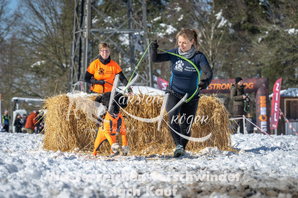 1126_ZZ92147-3 | kk-dogfotos