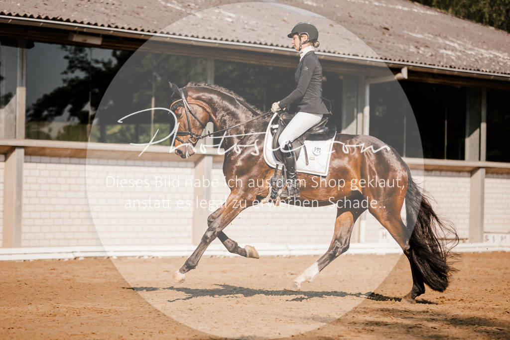 3I6A9003 | Stimmungsvolle Portraits und Reitsportfotografie im Ruhrgebiet und im Münsterland.

Pferdefotografie, Hundefotografie, Tierfotografie, Reportagen, Portraits von Tier und Mensch, Turnierfotografie in Bochum, Recklinghausen, Marl, Haltern am See, Dülmen.. - Realisiert mit Pictrs.com