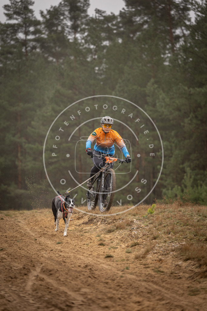 Pfotenfotografie_DV3A2883 | Hundefotografie, Tierfotograf, Pfotenfotografie, Fotoshooting Hund, Hunde Portrait, Hundesport, Hundeportraits, Heideshooting, Hunde, Sportfotograf, Hundefotograf, Turnierhundsport, THS,  - Realisiert mit Pictrs.com