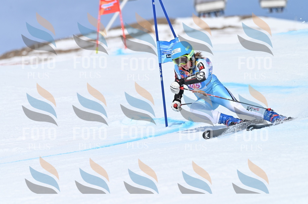 BGV_1796 | holidayphoto