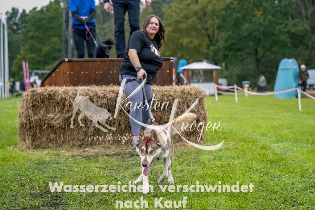 1029--9 | kk-dogfotos