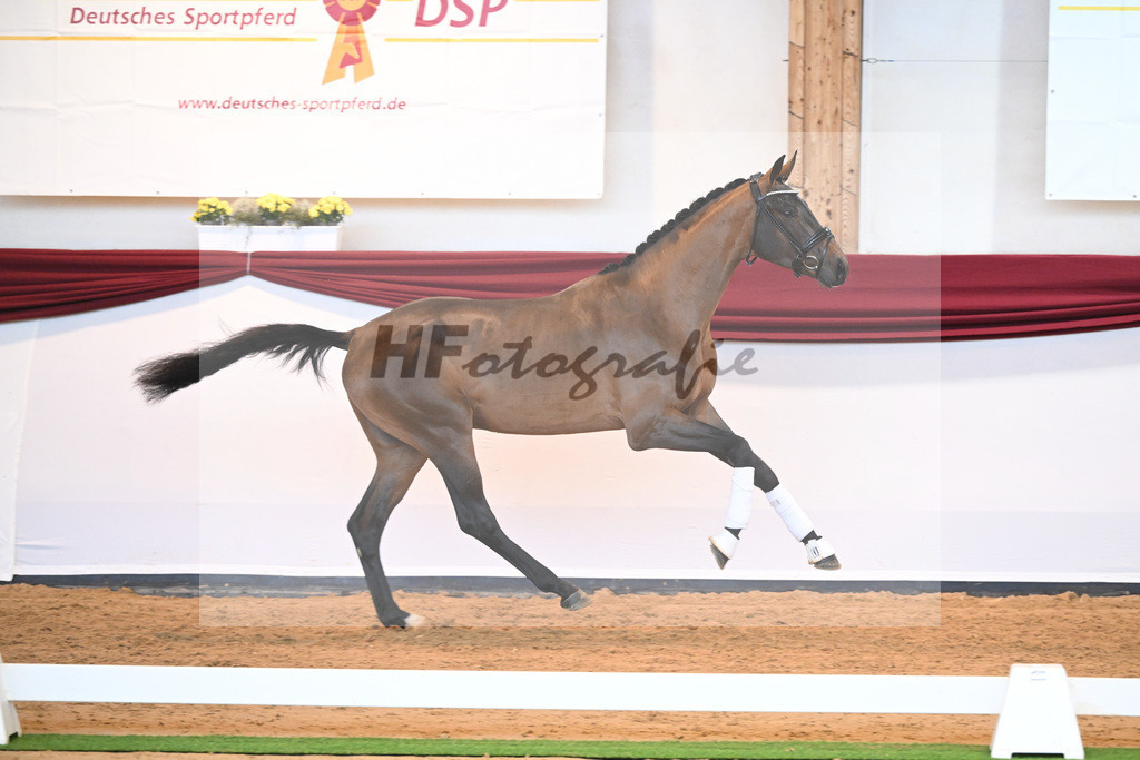 Kat-Nr. 10 v. Bonds_Klenk u Schneider-Gaertner_66221735 | hf-fotografie - Realisiert mit Pictrs.com