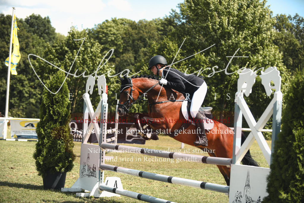 DSC_6798 | Pferde- und Turnierfotografie in Westsachsen. Pferdeportraits, Auftragszeichnungen und intuitive Kunst.