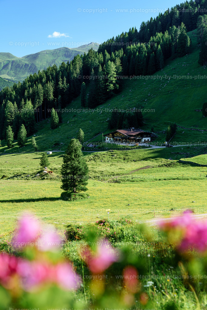Loschboden Frühsommer copyright  Thomas Pfister-13 | PHOTOGRAPHY BY THOMAS PFISTER