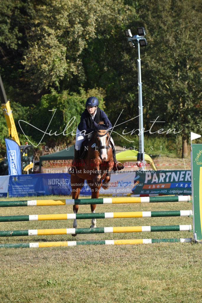 DSC_5153 | Pferde- und Turnierfotografie in Westsachsen. Pferdeportraits, Auftragszeichnungen und intuitive Kunst.