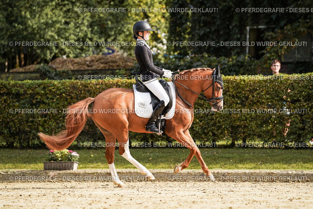 DSC05927 | Pferdegrafie