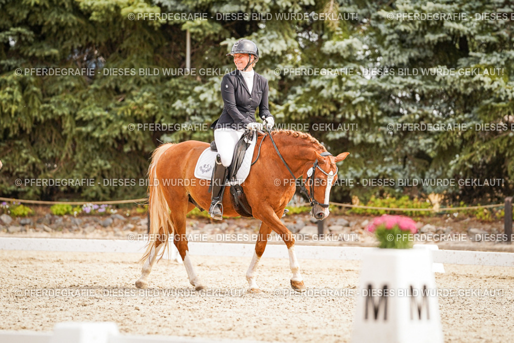 DSC02149 | Pferdegrafie