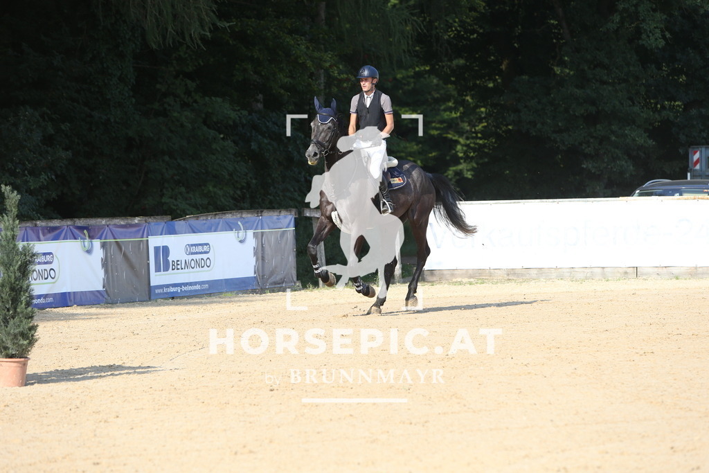 DL2Q0103 | Willkommen bei Brunnmayr - Design & Fotografie – Ihrem Spezialisten für Reitturniere und Pferdeveranstaltungen in Oberösterreich, Salzburg und Bayern! Seit über 17 Jahren sind wir leidenschaftlich dabei.