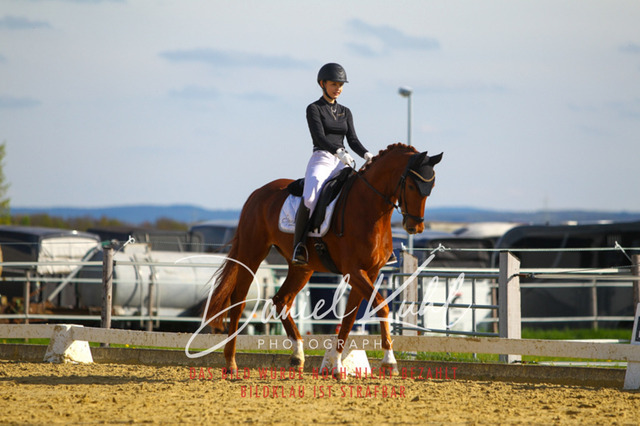 DKP43341 | Turniersportfotografie; Pferdefotografie; Dressurfotografie