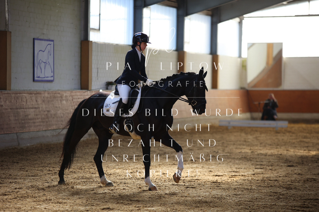 IMGT6176 | pl-fotografie