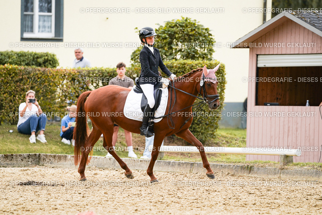 DSC00890 | Pferdegrafie