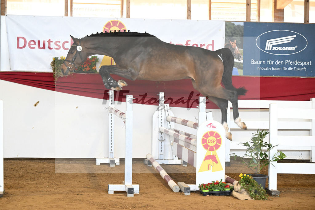 Kat-Nr. 34 Conthadero v. Conthargos_Schwuchow_16251059 | hf-fotografie - Realizzato con Pictrs.com