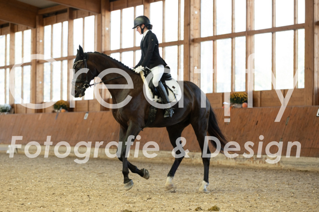 IMG_5085 | Creatify Fotografie