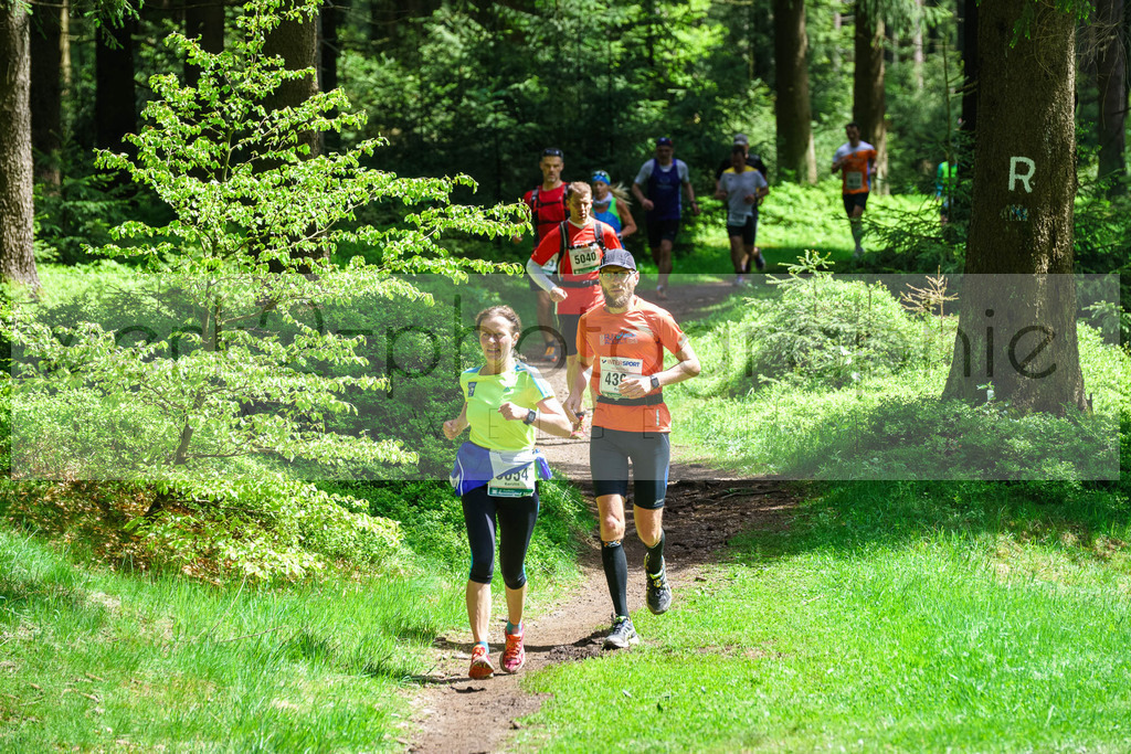 Rennsteiglauf 2017 | Neuhaus/Rwg. - Schmiedefeld am 19. Mai 2017
