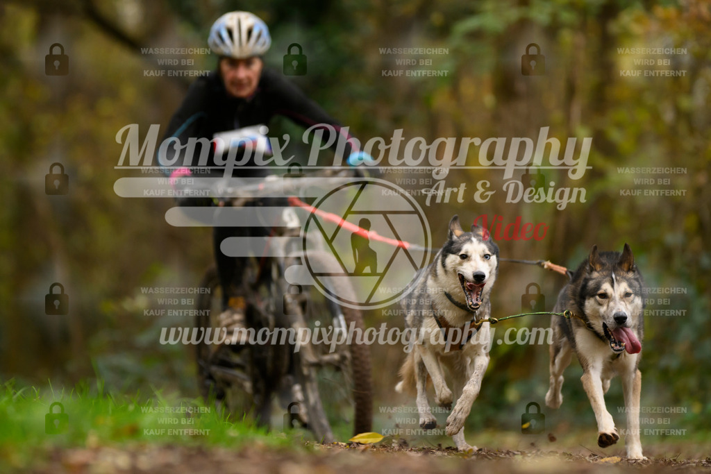 MompixPhotography_Bischwiller24_SA_VTT2-10 | PayLife
