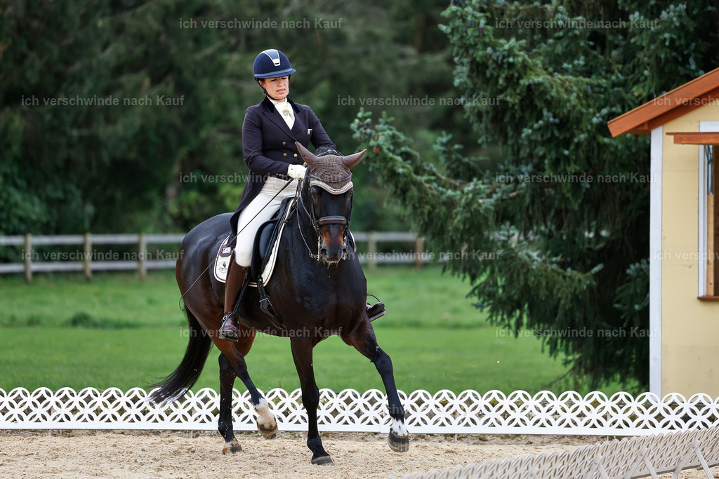 11-191-Dressur S___-StoibPH-896 | working equitationturnier fotograf videograf stoibphotography marixx film working equitation deutschland reitsport turnierfotografie eventfotografie equestrian events