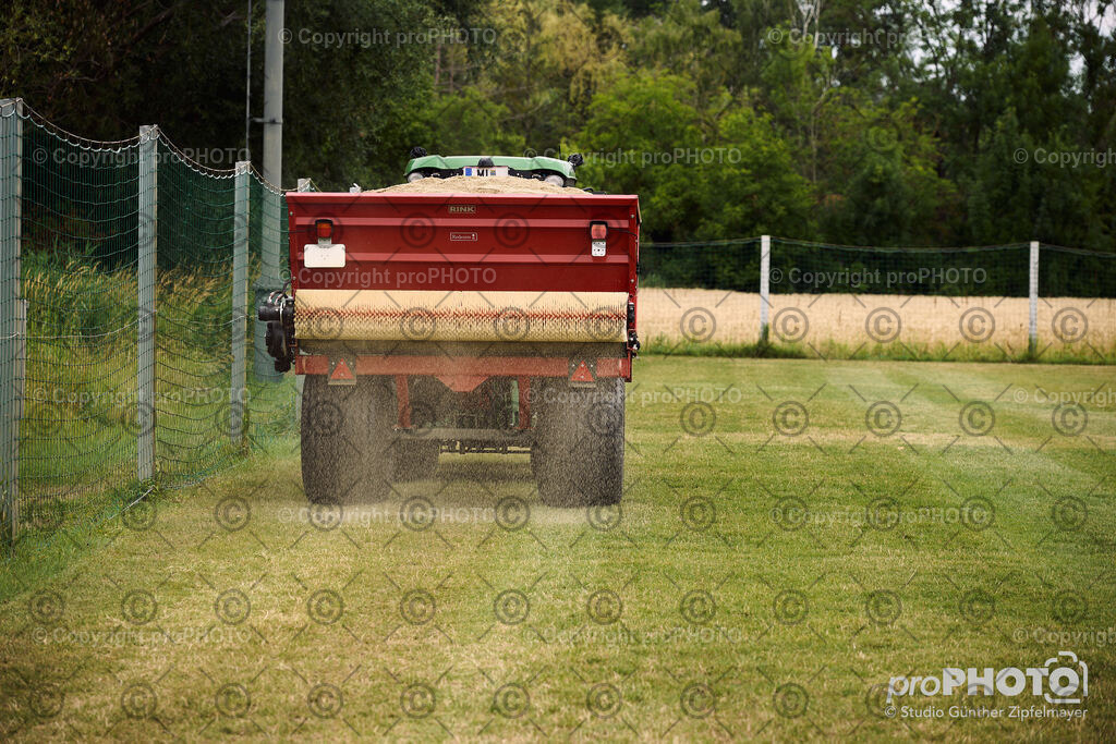 202507_Rernböck-Rasen_NZ9_1192 | proPHOTO - Realisiert mit Pictrs.com