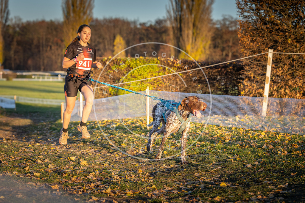 CaniXpix_DV3A5413 | Hundefotografie, Tierfotograf, Pfotenfotografie, Fotoshooting Hund, Hunde Portrait, Hundesport, Hundeportraits, Heideshooting, Hunde, Sportfotograf, Hundefotograf, Turnierhundsport, THS,  - Realisiert mit Pictrs.com