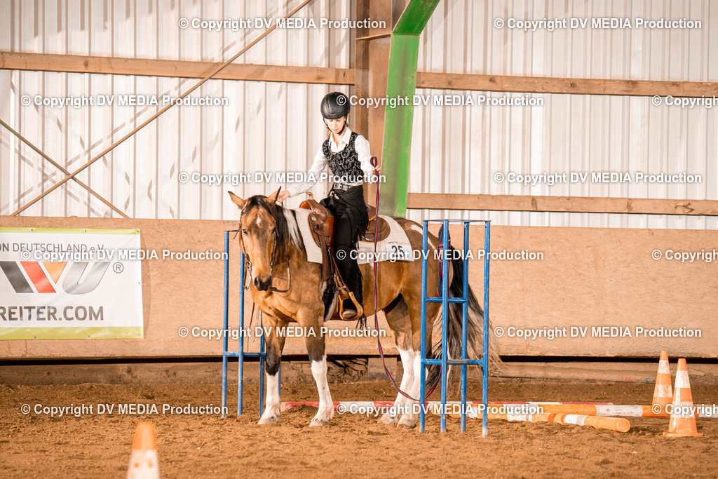 BA300337 | dv-media-shop - Realisiert mit Pictrs.com