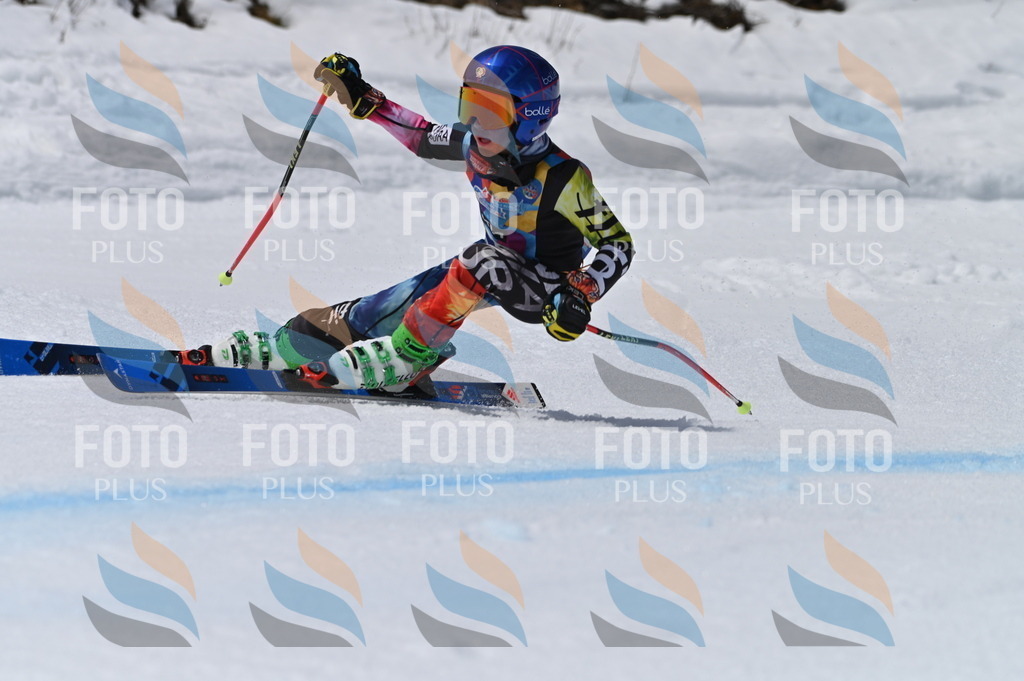 BGV_6830 | holidayphoto