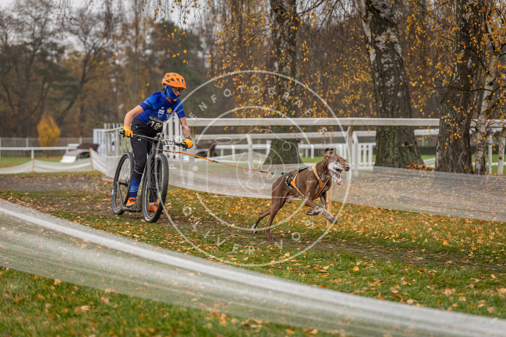 CaniXpix_DV3A8357 | Hundefotografie, Tierfotograf, Pfotenfotografie, Fotoshooting Hund, Hunde Portrait, Hundesport, Hundeportraits, Heideshooting, Hunde, Sportfotograf, Hundefotograf, Turnierhundsport, THS,  - Realisiert mit Pictrs.com