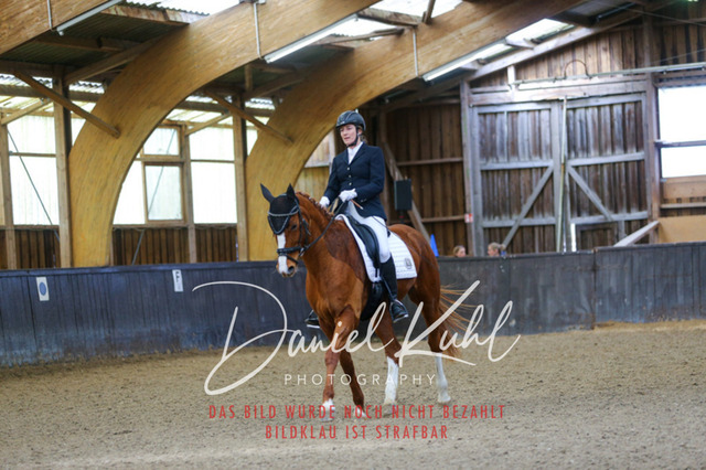 IMG_0275 | Deine Turnierfotos vom Reitturnier online kaufen: Dressur, Springen & Siegerehrung. Professionelle Pferdefotografie aus dem Rheinland – als Download & Print.Alternative: Turnierfotograf für den Pferdesport: Finde deine Fotos von Dressur- und Springturnier