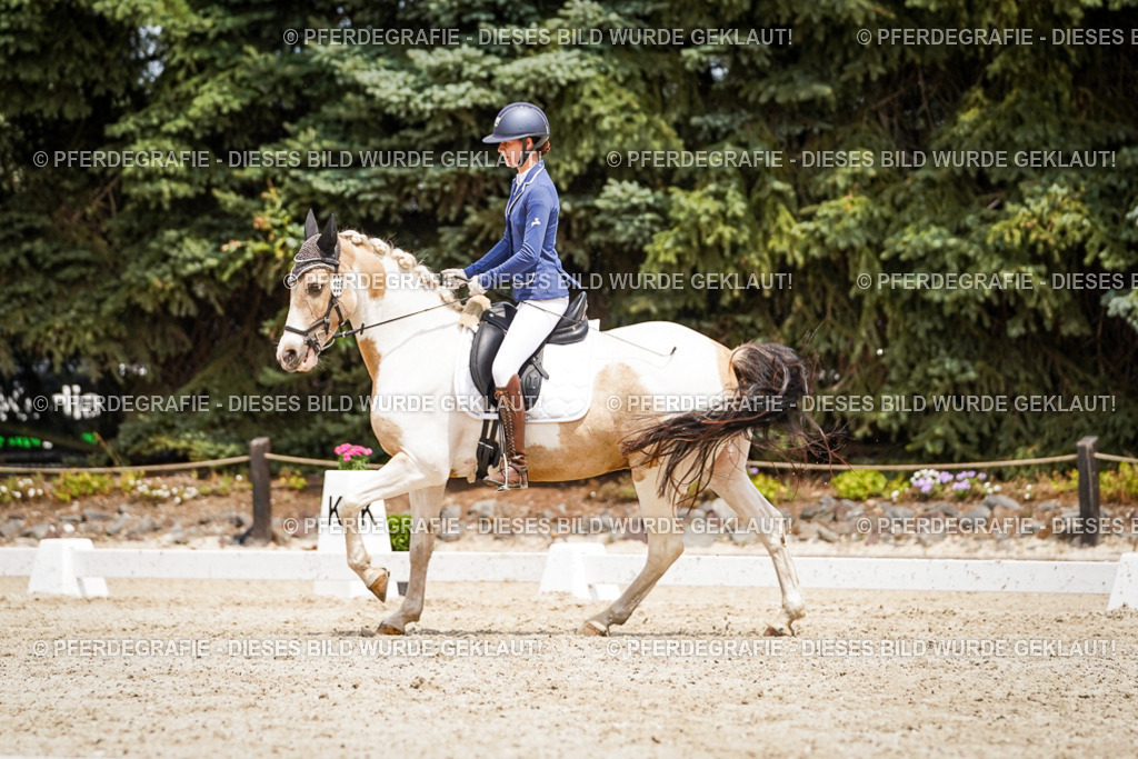 DSC03698 | Pferdegrafie