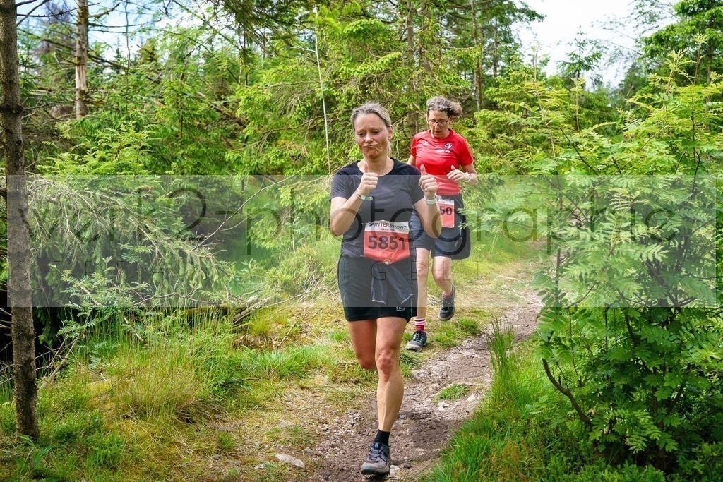 Rennsteiglauf Marathon 2024 | 25. Mai 2024 - 42,2 km von Neuhaus nach Schmiedefeld